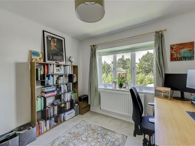 Picture 20
